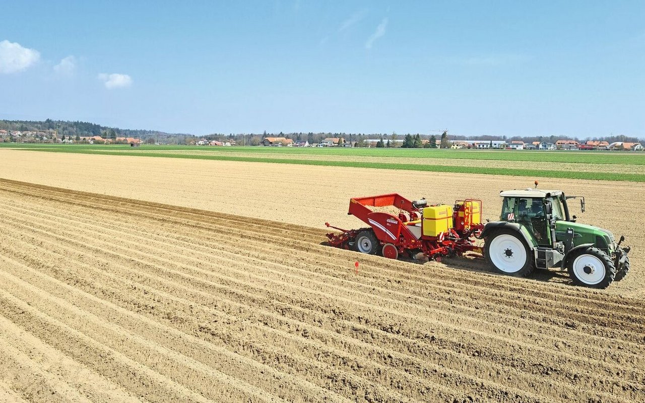 Das Pflanzgut für die kommende Anbausaison ist knapp. Normalerweise wurden noch kleinere Pflanzgutposten vom Ausland importiert. Doch selbst dort ist die Verfügbarkeit eingeschränkt, aufgrund der extremen Wetterereignisse im 2023.