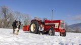 Der IHC 644 ist Vivienne Hausheers Traumtraktor. (Bild: «die grüne» / Gian Vaitl)