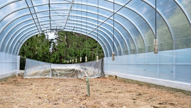 Oberfläche eines überdachten Biobacs mit Sprühvorrichtungen zum Applizieren des kontaminierten Wassers. Die Pilze wurden aus dem Substrat solcher Biobacs isoliert.