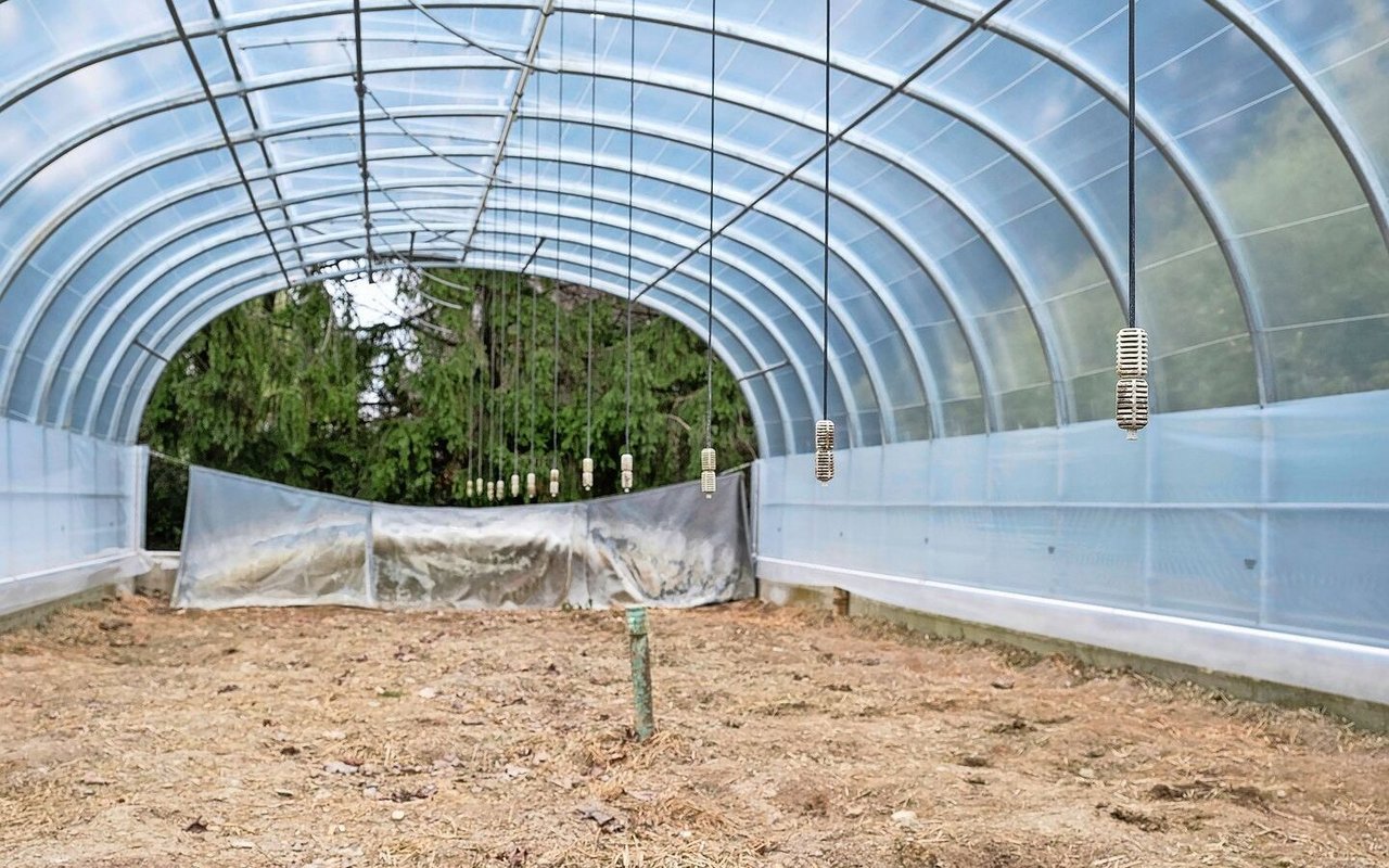 Oberfläche eines überdachten Biobacs mit Sprühvorrichtungen zum Applizieren des kontaminierten Wassers. Die Pilze wurden aus dem Substrat solcher Biobacs isoliert.