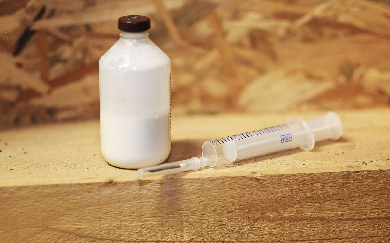 Eine Flasche mit weisser Flüssigkeit (Antibiotikum) steht auf einem Holzbalken im Stall. Daneben liegt eine leere Spritze.