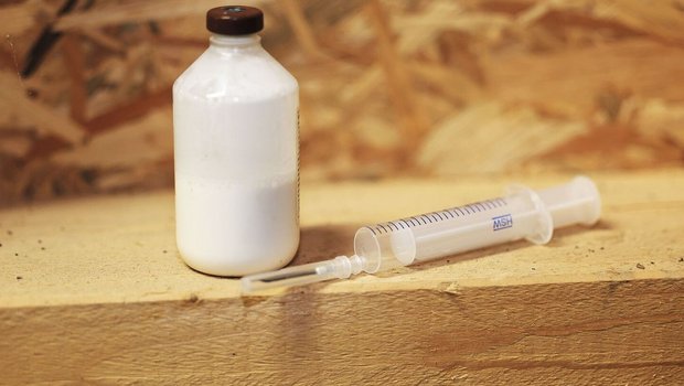 Eine Flasche mit weisser Flüssigkeit (Antibiotikum) steht auf einem Holzbalken im Stall. Daneben liegt eine leere Spritze.