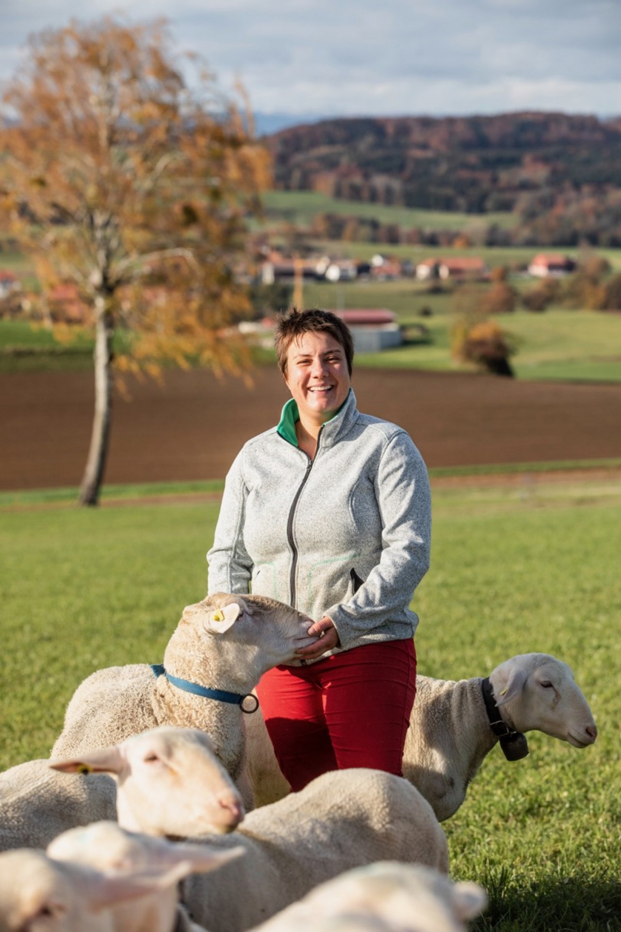 Als Neulinge in der Milchschaf-Branche musste sich Genoud viel Wissen aneignen. Bild: Pia Neuenschwander
