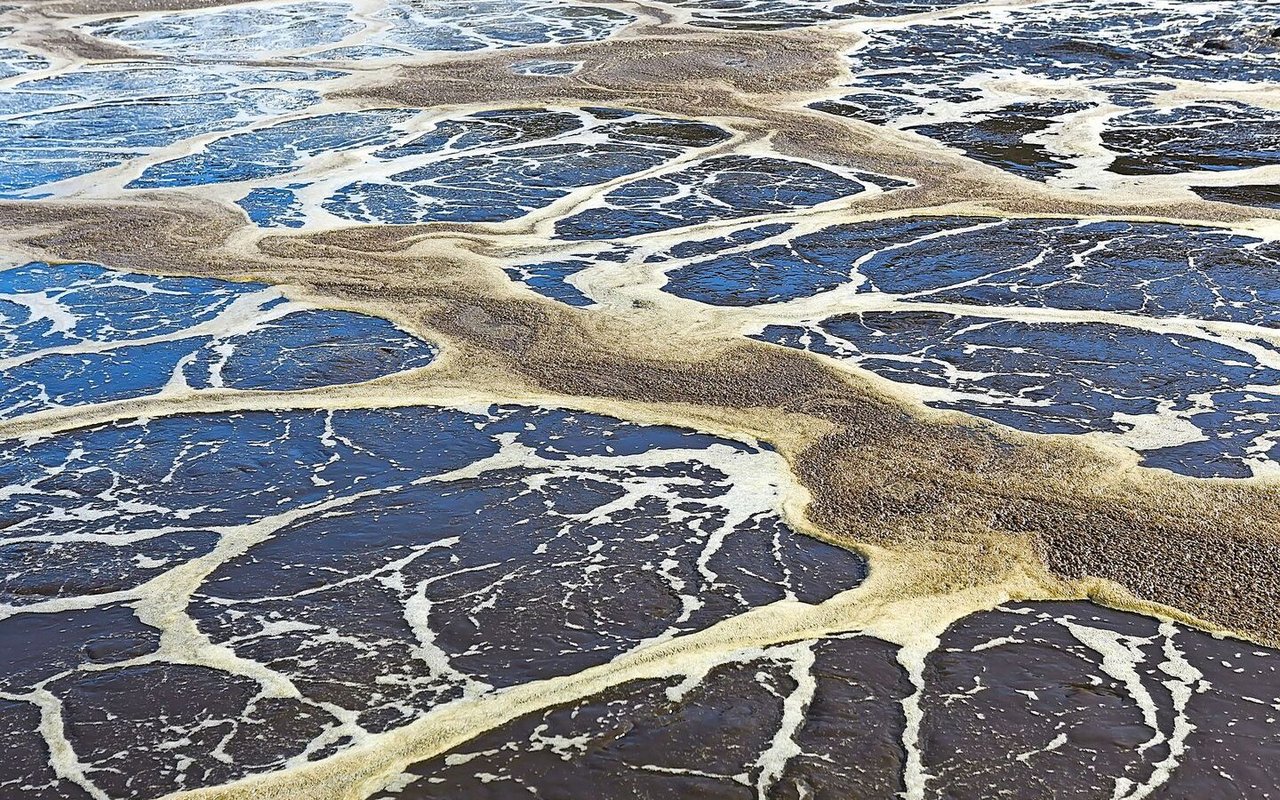 Klärschlamm, der vor vielen Jahren auf Feldern ausgebracht wurde, führt zur Belastung mit den Ewigkeitschemikalien PFAS. 