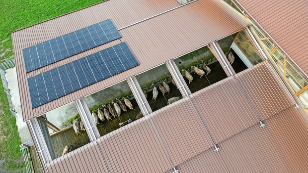 Das Schiebedach ist  Das Schiebedach ist ein Highlight des Stalls. Wendelin Amstad hat dieses zusammen mit dem Zimmermann entwickelt.