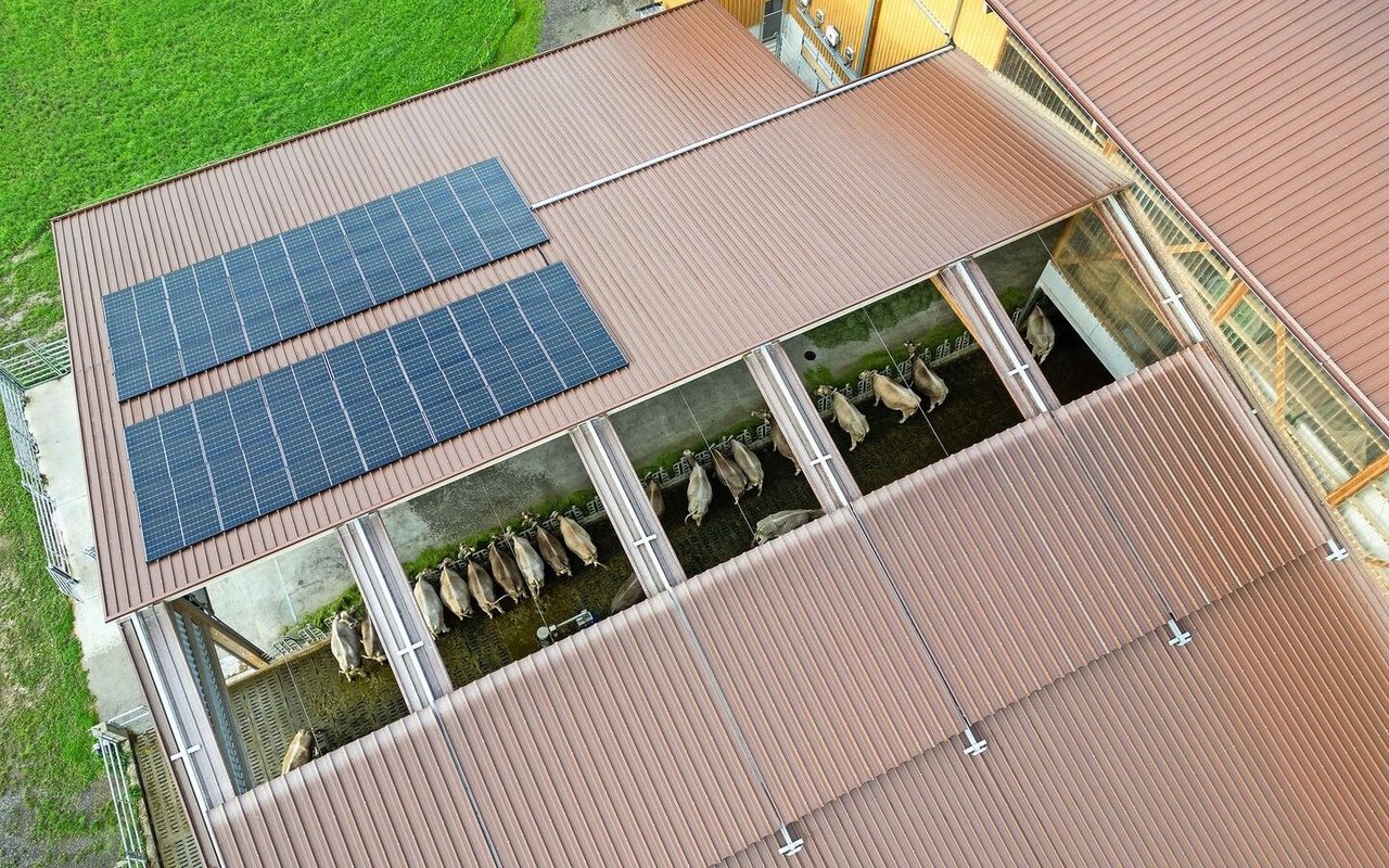 Das Schiebedach ist  Das Schiebedach ist ein Highlight des Stalls. Wendelin Amstad hat dieses zusammen mit dem Zimmermann entwickelt.