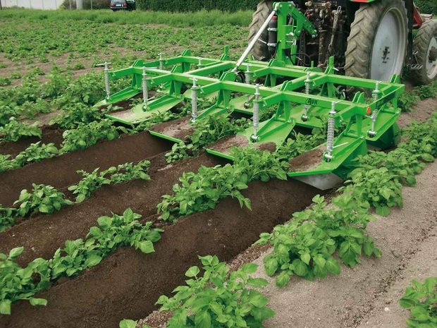 Massnahmen-Plan für die Schweizer Landwirtschaft in der Corona-Krise