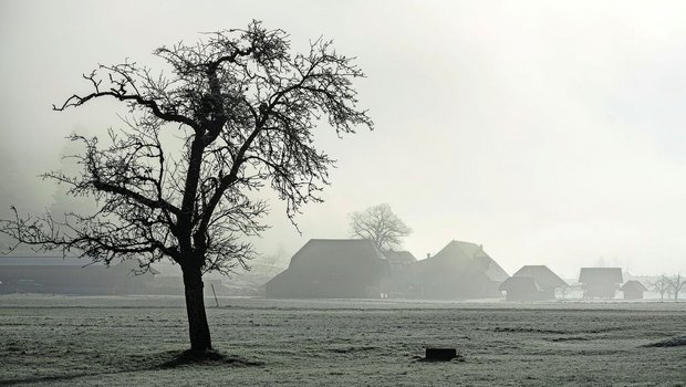 Die Bauern stehen aktuell noch im Nebel, wenn es um die genaue Ausarbeitung einer «klimafreundlichen Produktion» geht.