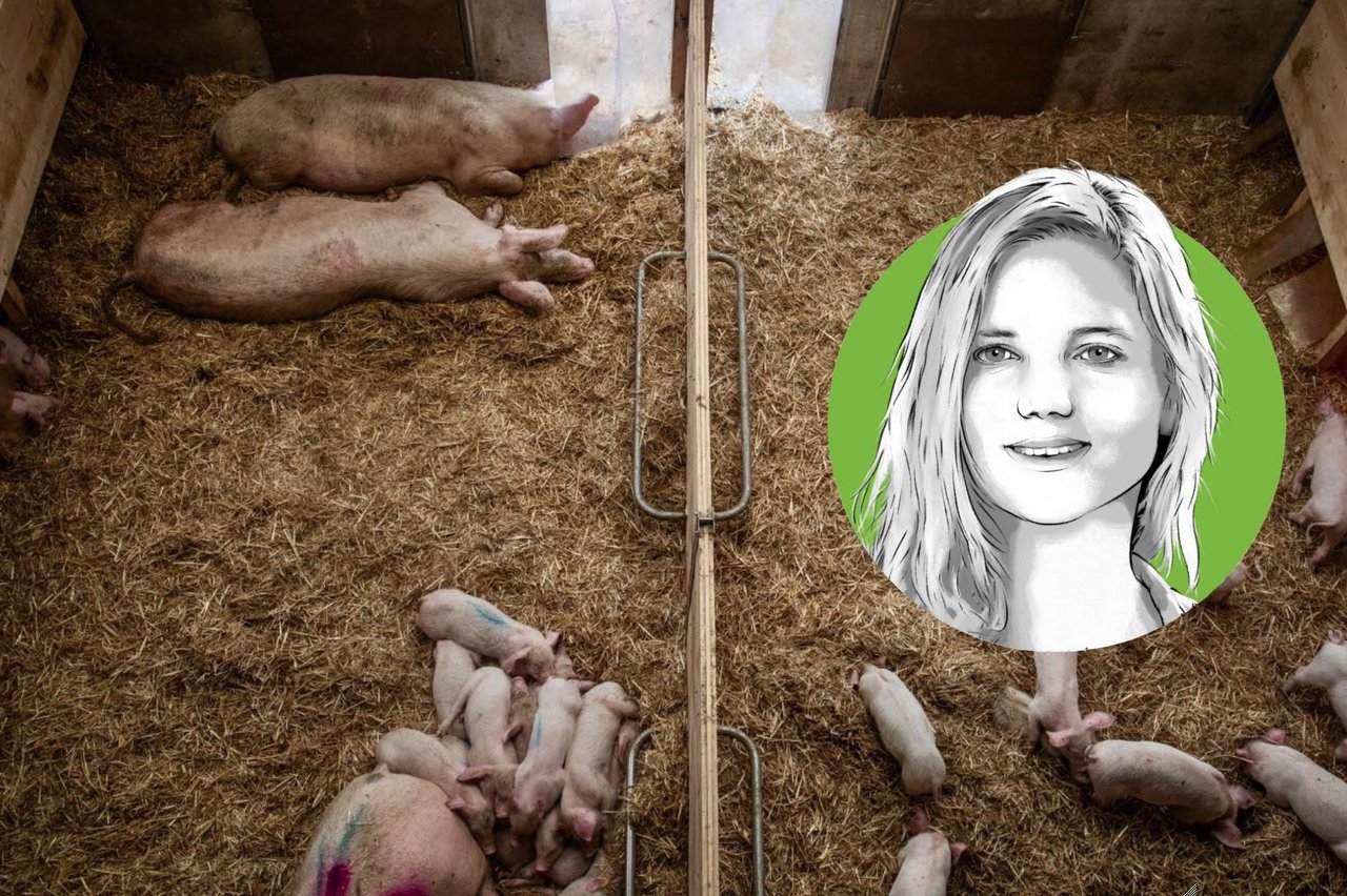 Martina Rüegger, «die grüne»-Redaktorin Tierhaltung (Bild «die grüne» / Pia Neuenschwander & Bruno Muff)