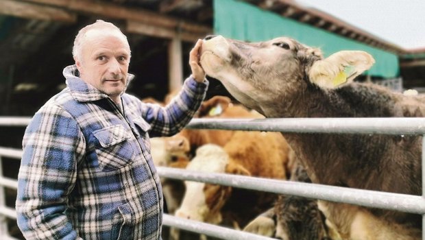 Die Rinder von Thomas Michel dürfen neu kein Antibiotika mehr bekommen. Das hat Aldi ohne Vorlaufzeit bestimmt.