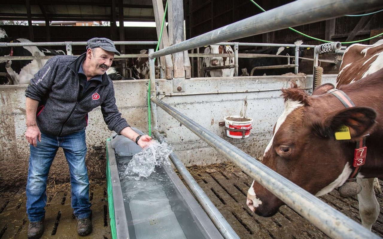 Hansueli Lüscher steht an der Tränke und spritzt Wasser zu einer Kuh.