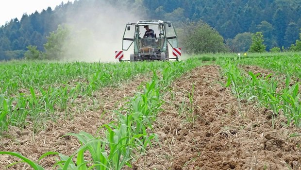 Auch im Maisanbau führen viele Wege nach Rom. Anbautechnikversuche helfen bei der Entscheidungsfindung.Bild: Liebegg