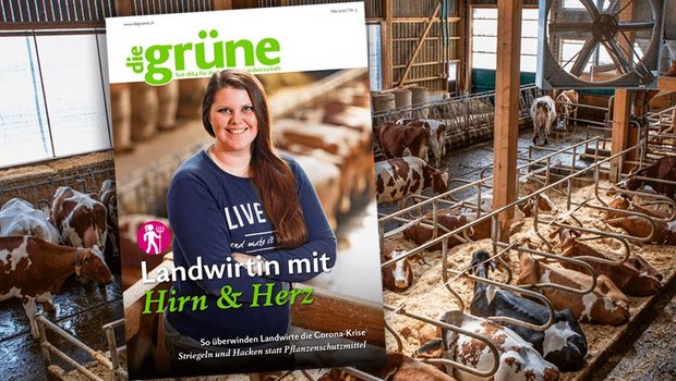«die grüne» im Mai 2020 – u.a. mit einer Landwirtin mit Herz und Hirn In der neuen Ausgabe gibt es viel zu verschiedenen Themen zu entdecken – für jeden ist etwas dabei. (Bild DG)