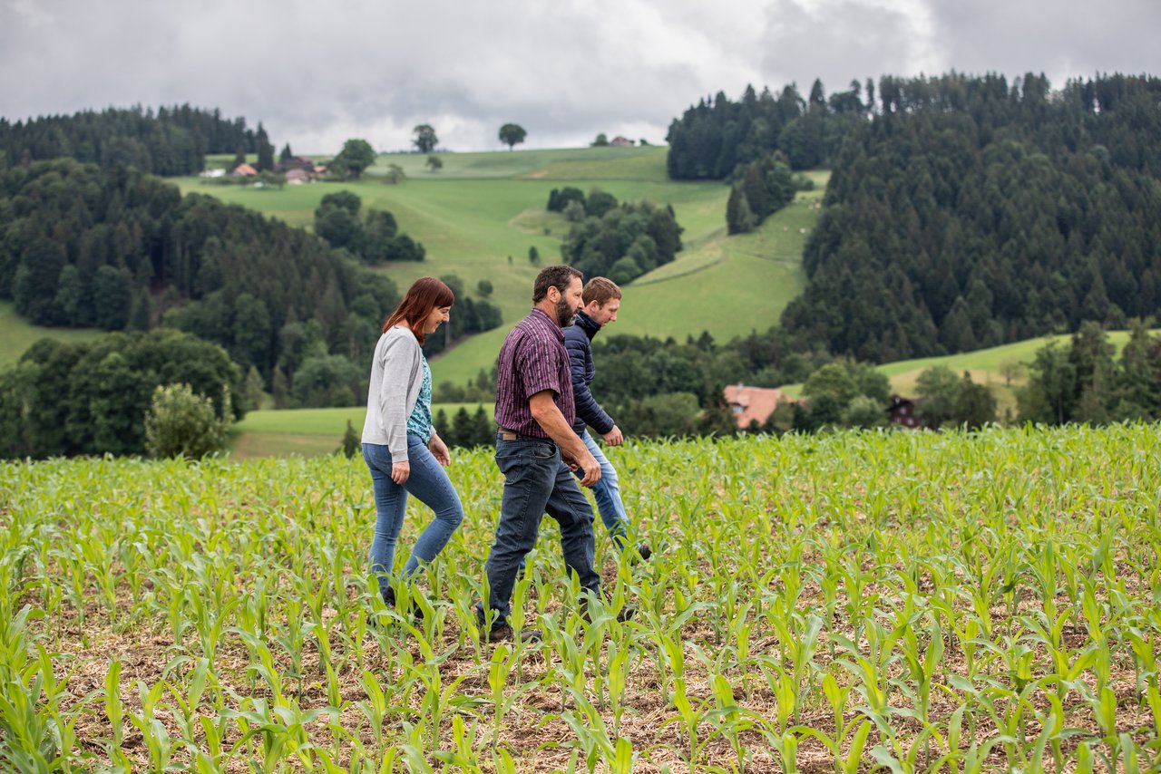 Ihren Mais schützen Roman (rechts, blaue Jacke), Silvia und Erich Siegenthaler mit Duftstoffen gegen gefrässige Emmentaler Hirsche. Bild: die grüne/Pia Neuenschwander