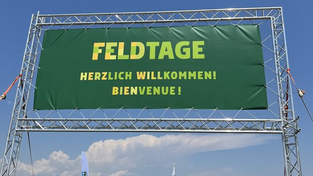 Feldtage Kölliken 2023 (Bild: Sandra Donadei / «die grüne»)