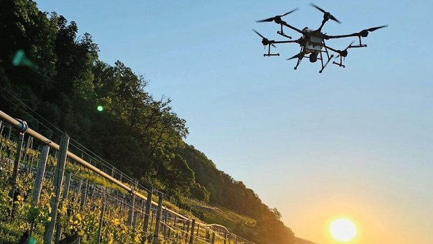 Im Rebbau sind Drohn Im Rebbau sind Drohnen verbreitet und gut akzeptiert: Sie verursachen viel weniger Abdrift als Helikopter und machen weniger Lärm. Das macht sie auch nachhaltiger.
