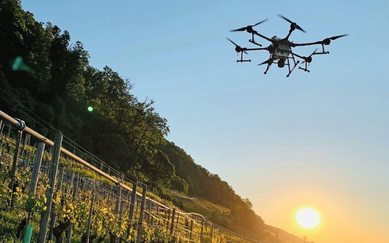 Im Rebbau sind Drohnen verbreitet und gut akzeptiert: Sie verursachen viel weniger Abdrift als Helikopter und machen weniger Lärm. Das macht sie auch nachhaltiger.