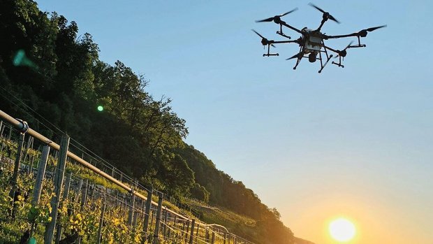Im Rebbau sind Drohn Im Rebbau sind Drohnen verbreitet und gut akzeptiert: Sie verursachen viel weniger Abdrift als Helikopter und machen weniger Lärm. Das macht sie auch nachhaltiger.