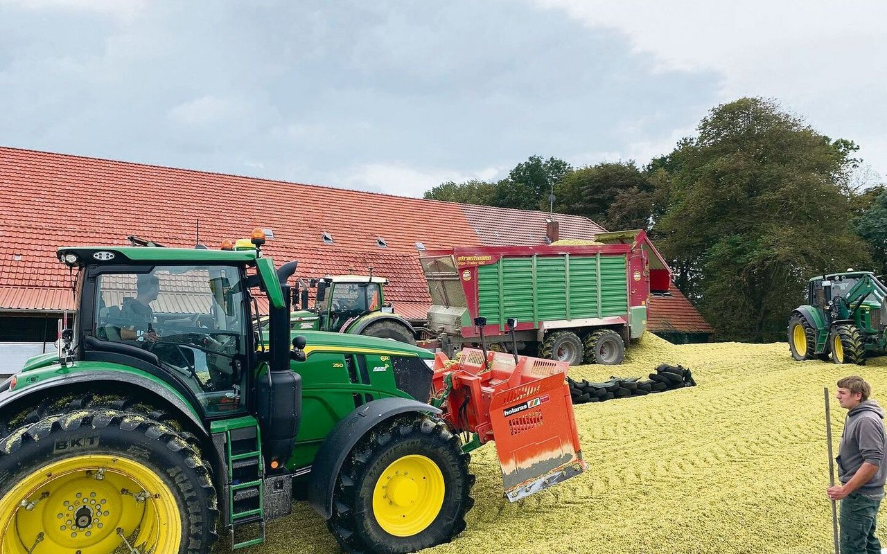 Zeitweise hat Timo mit unserem Traktor beim Anwalzen mitgeholfen.