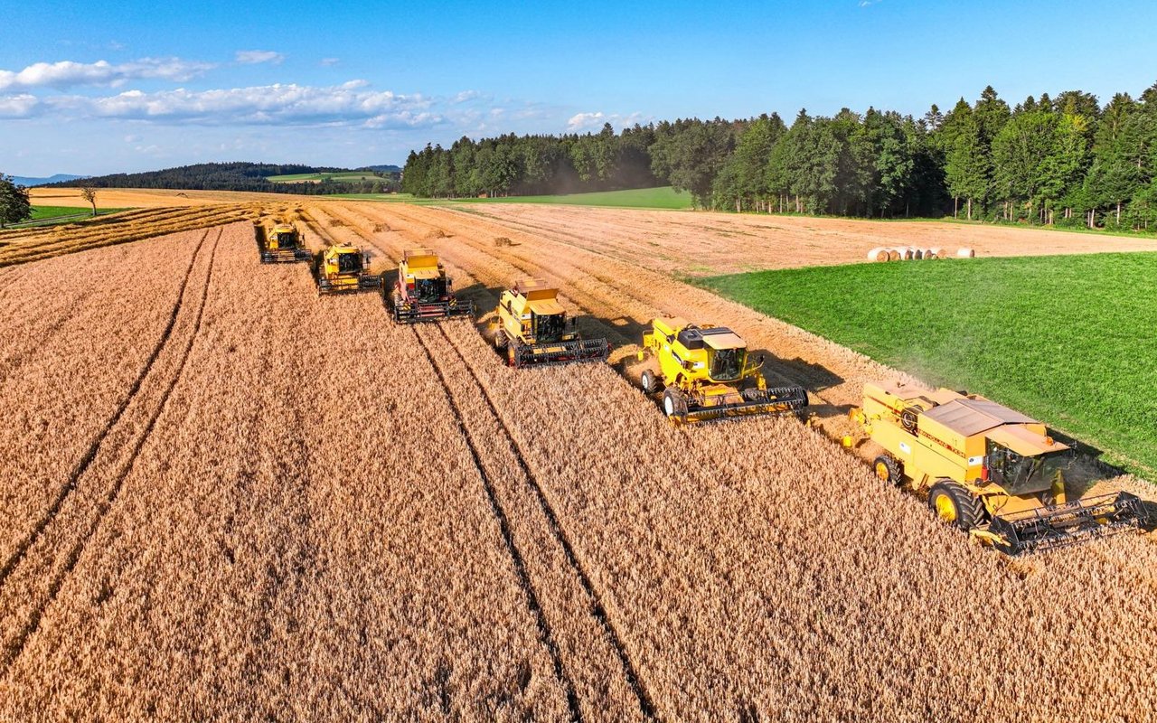 Mähdreschen ist für die meisten Landwirte ein alljährliches Highlight. Eine gute Zusammenarbeit zwischen Landwirt und Lohnunternehmer erleichtert die Planung.