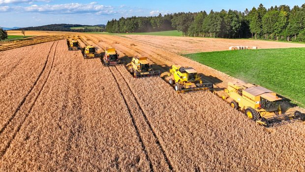 Mähdreschen ist für die meisten Landwirte ein alljährliches Highlight. Eine gute Zusammenarbeit zwischen Landwirt und Lohnunternehmer erleichtert die Planung.
