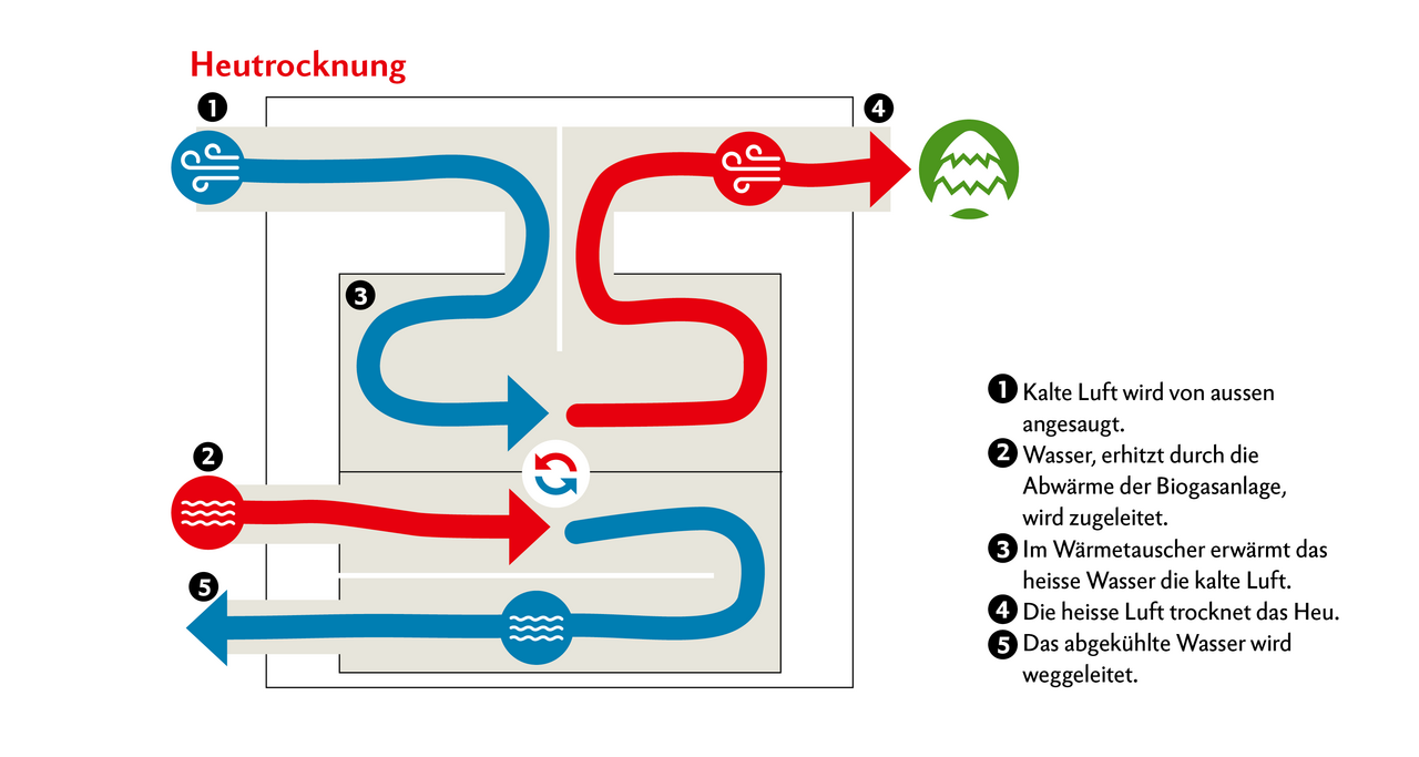 Infografik zeigt Funktionsweise der Heuchtrocknungsanlage.