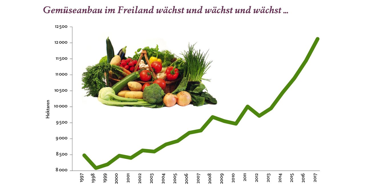 Der Gemüseanbau im Freiland wächst in der Schweiz seit Jahren. Infografik: Doris Rubin / «die grüne»