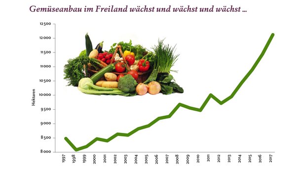Schweizer Freiland-Gemüseanbau ist seit 1997 um 45 Prozent gewachsen Der Gemüseanbau im Freiland wächst in der Schweiz seit Jahren. Infografik: Doris Rubin / «die grüne»