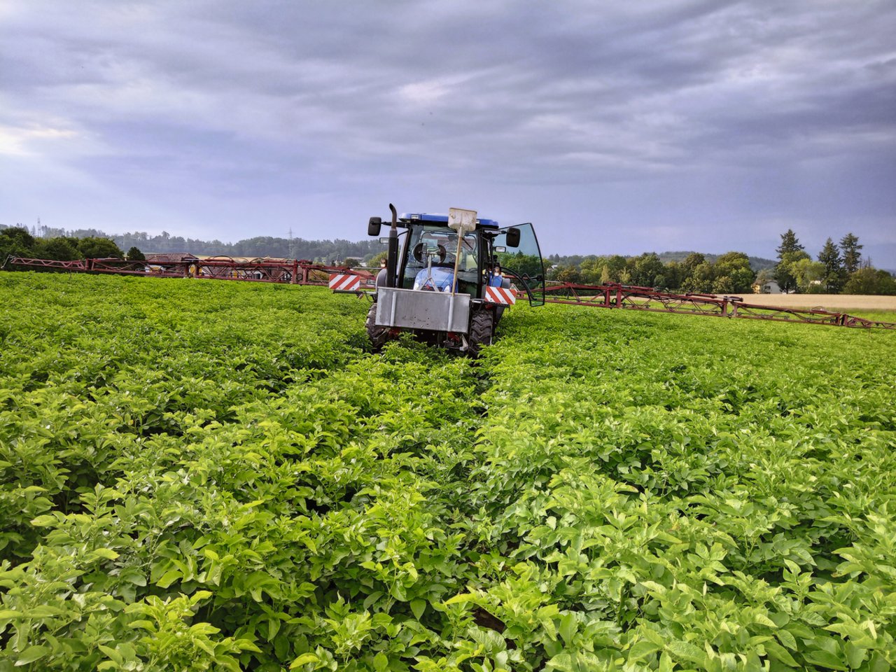 Auch Pflegemassnahmen wie Pflanzenschutz müssen erfasst werden. Bei 365FarmNet kann ein Angestellter die Behandlung erfassen, der Betriebsleiter bestätigt später. Bild: Sebastian Hagenbuch