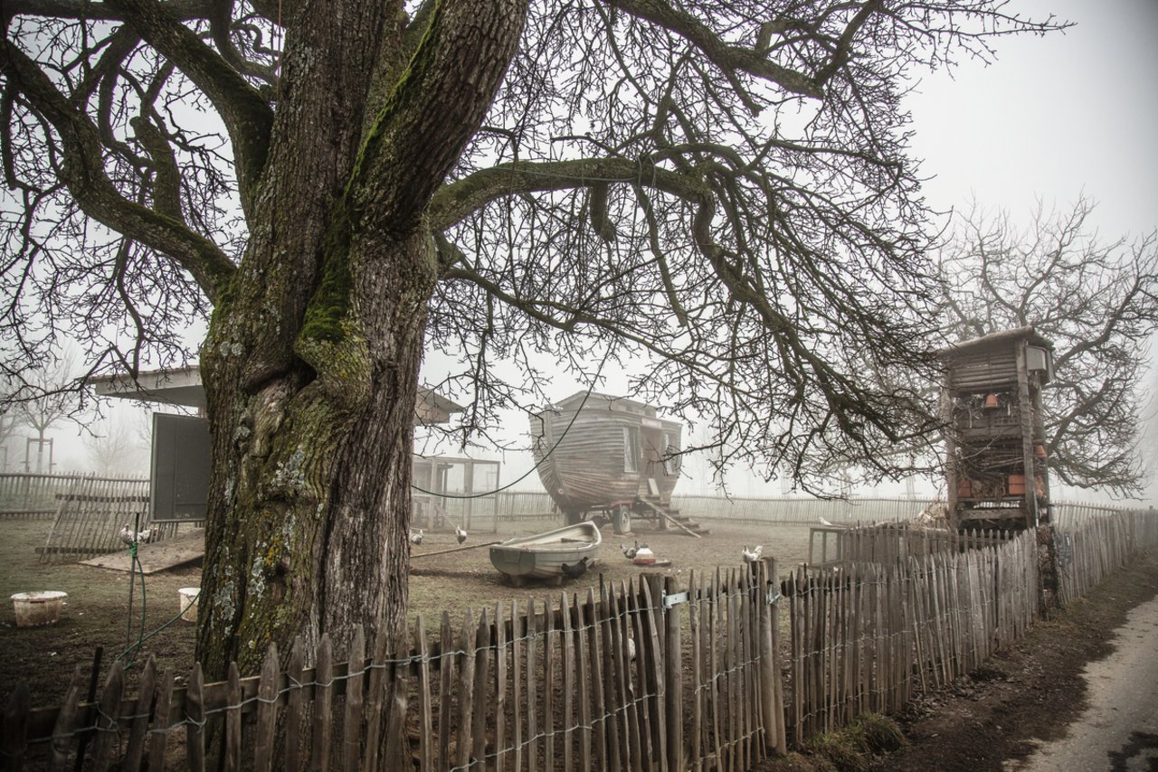 Urs und Barbara Amreins «Archehof» gehört zu den Pro-Specie-Rara-Archehöfe, von denen es schweizweit zehn gibt. Auf diesen Höfen leben seltene Rassen: Bei Amreins sind es Appenzeller Spitzhaubenhühner, Rätisches Grauvieh und Bündner Strahlenziegen. Bild: Pia Neuenschwander 