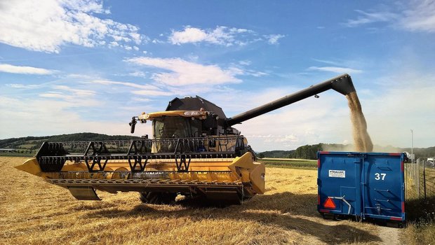 Immer mehr Landwirte überlassen die Ernte und den Transport zur Sammelstelle Lohn-unternehmern. Alle Fahrzeuge Hallers sind mit Druckluftbremsen ausgerüstet. Bild: zVg