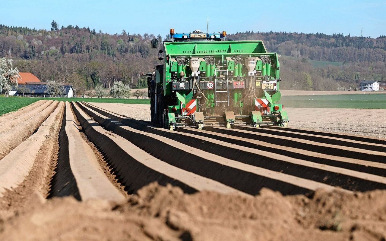 Beim All-in-one-Setzgerät wurde eine Unterfussdüngung aufgebaut.