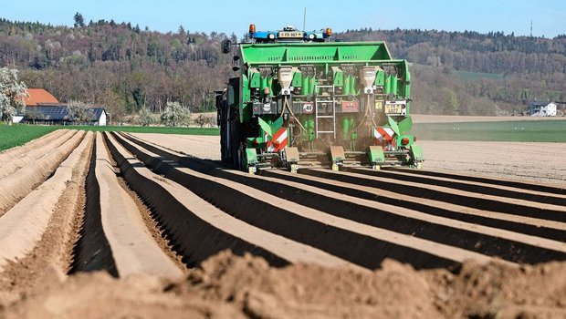 Beim All-in-one-Setzgerät wurde eine Unterfussdüngung aufgebaut.