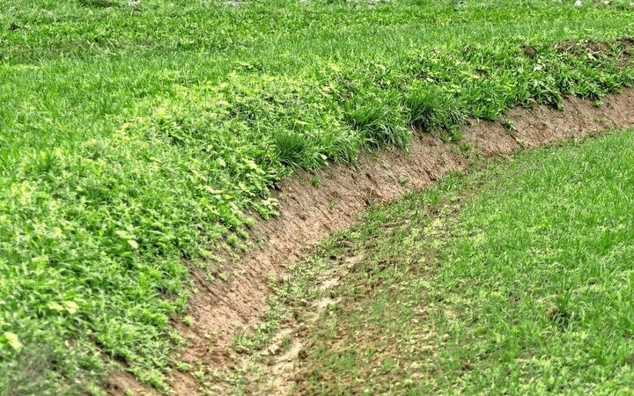 Die Kantone Basel-Landschaft und Luzern unterstützen Keylines über das Ressourcenprojekt Slow-Water finanziell.