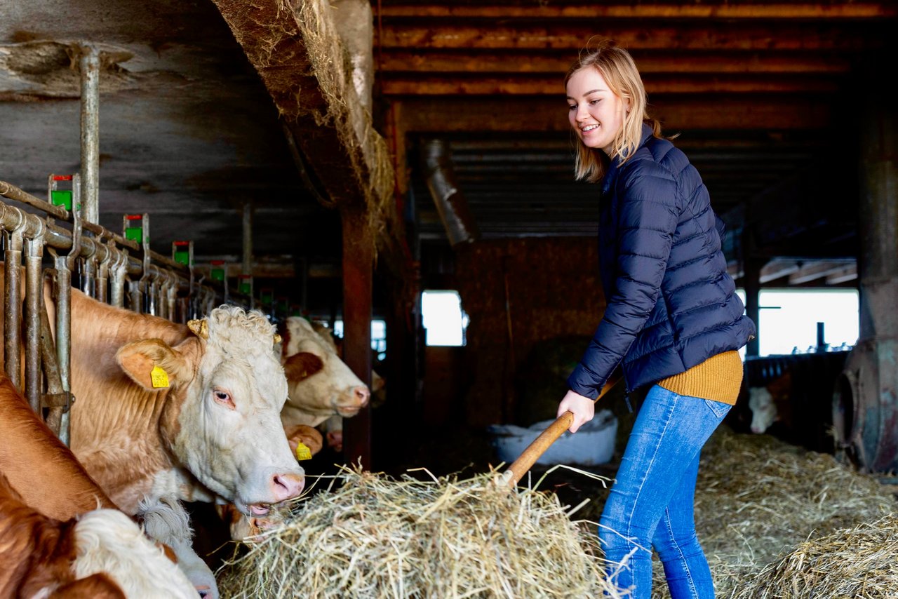 Jährlich leisten rund 1400 Jugendliche mit einem Agriviva-Stage einen Landdienst. (Bild: Agriviva)