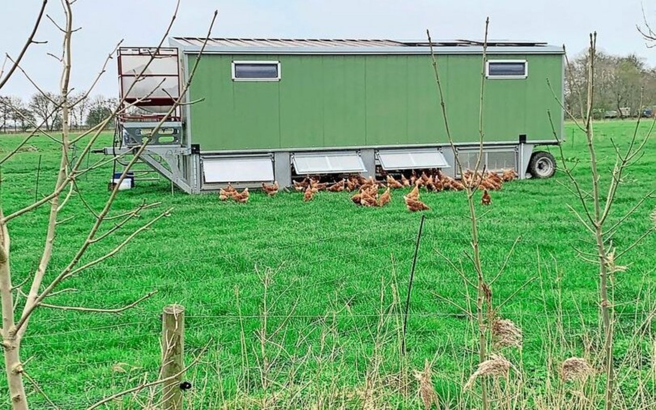 Schon seit über drei Jahren betreibt Auswanderin Sandra Hussmann mit ihrem Mann als Hobby ein Hühnermobil mit max. 340 Tierplätzen. Sie verkaufen die Erzeugnisse zum grössten Teil direkt.