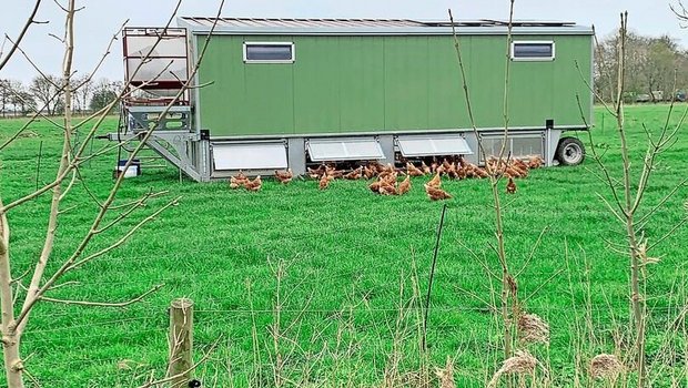 Schon seit über drei Jahren betreibt Auswanderin Sandra Hussmann mit ihrem Mann als Hobby ein Hühnermobil mit max. 340 Tierplätzen. Sie verkaufen die Erzeugnisse zum grössten Teil direkt.