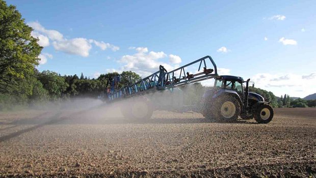 Bei einem vollständigen Verzicht auf synthetische Pflanzenschutzmittel dürften die Erträge massiv zurückgehen, auch im Bio-Landbau. (Jérémie Suchet/landwirtschaft.ch)