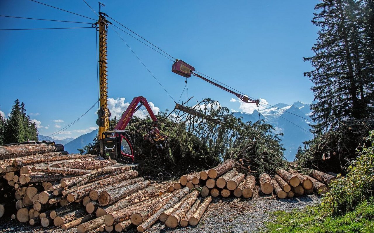 Bei einer Holzernte mit zusätzlichen Kosten wie dem Einsatz eines Seilkrans, reicht der Holzerlös in der Regel nicht aus, um die Kosten zu decken.