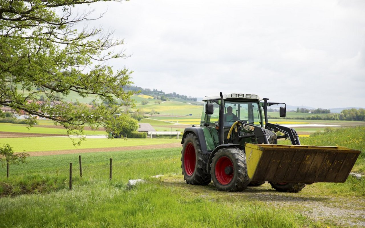 Young Farmer Marco Hirt reist gerne um die Welt. Bild: Mareycke Frehner