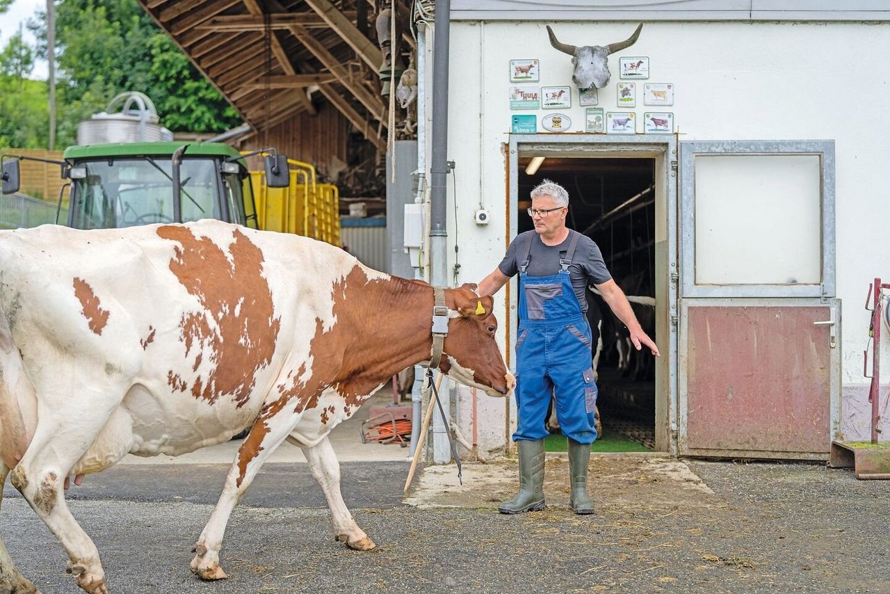 Die Kühe liegen Niklaus Dähler besonders am Herzen. Zu BG-Zeiten wurden in seinem Stall alle gemeinsamen Milchkühe gehalten. 