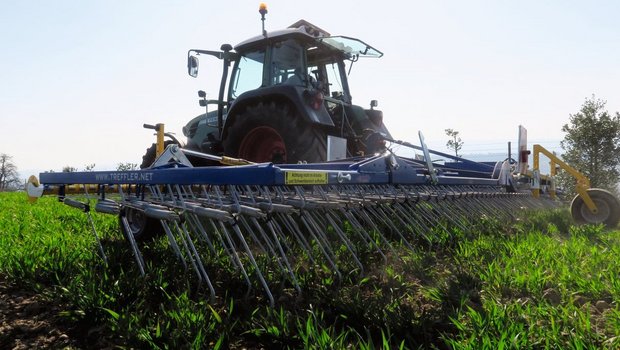 Erfolgreiches Striegeln hängt zum einen von der eingesetzten Technik ab. Die Maschine muss sich optimal einstellen lassen. Zum anderen hängt der Erfolg auch von der Witterung ab. Es braucht so früh wie möglich im Jahr einige trockene Tage. Bild: zVg