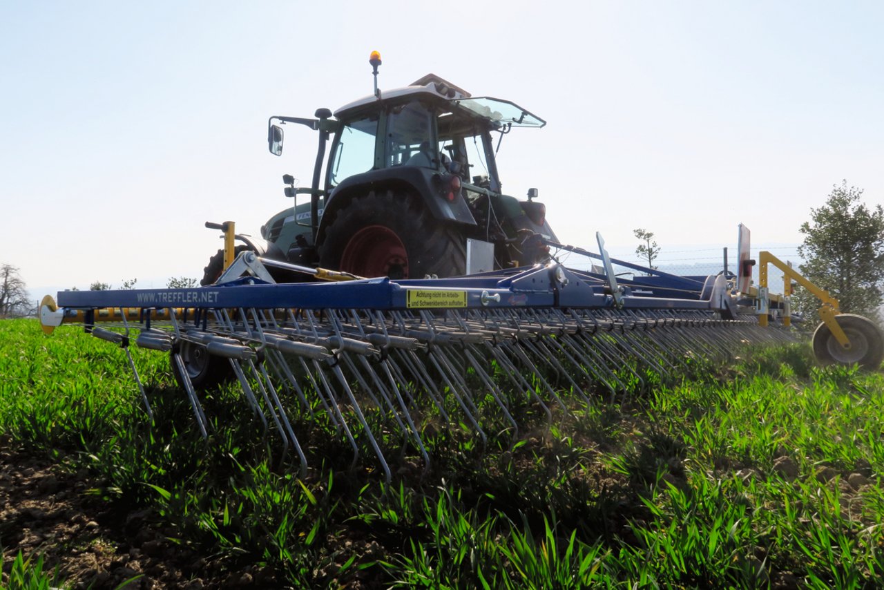 Erfolgreiches Striegeln hängt zum einen von der eingesetzten Technik ab. Die Maschine muss sich optimal einstellen lassen. Zum anderen hängt der Erfolg auch von der Witterung ab. Es braucht so früh wie möglich im Jahr einige trockene Tage. Bild: zVg