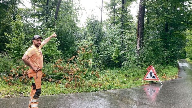 Hanspeter Kretz weist auf Gefahren entlang von Wegen im Wald hin: Er zeigt auf eine schräg stehende kleine Buche und eine geschwächte grosse Buche. 