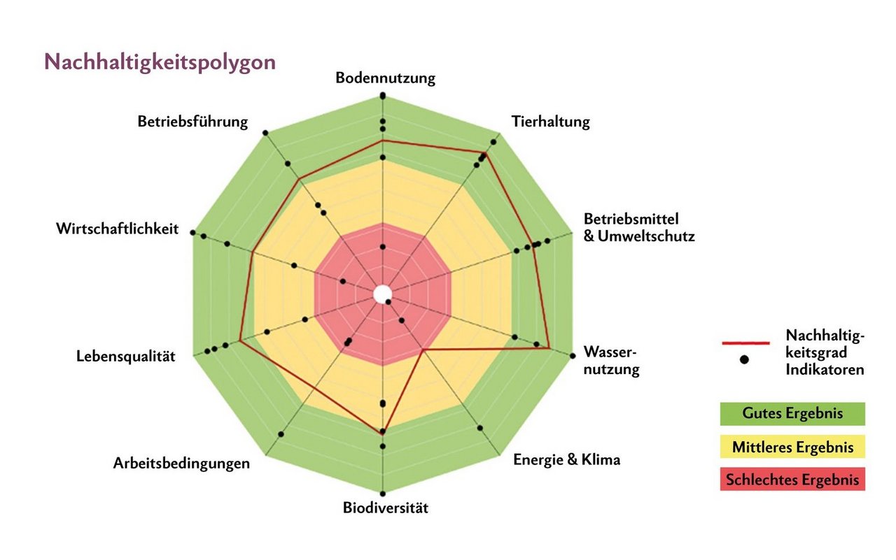 Nachhaltigkeits-Polygon