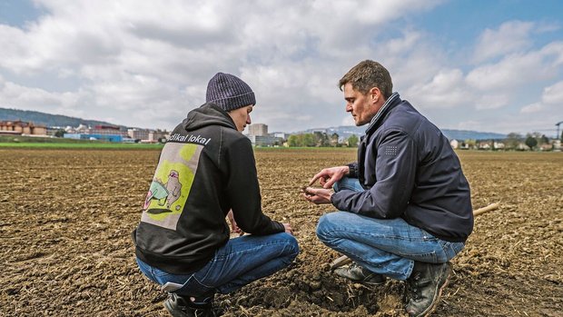 Tobias Vogel (links) und Landwirt Andreas Siegrist auf dem Kichererbsenfeldin Zürich Altstetten.
