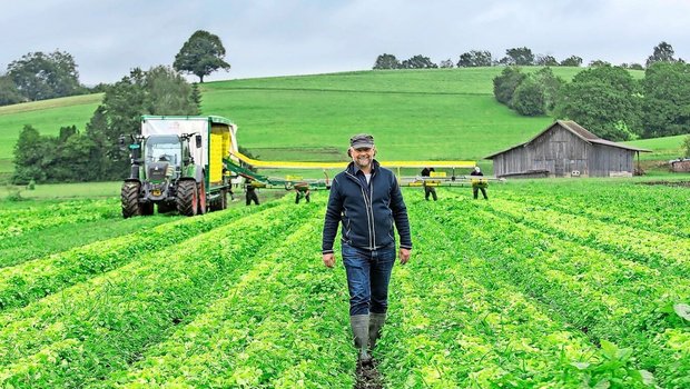 Der Chef auf dem Feld: Auf dem Biogemüsebetrieb von Christian Gerber im Zürcher Oberland kommen durchaus auch grosse Maschinen wie Erntewagen zum Einsatz. 