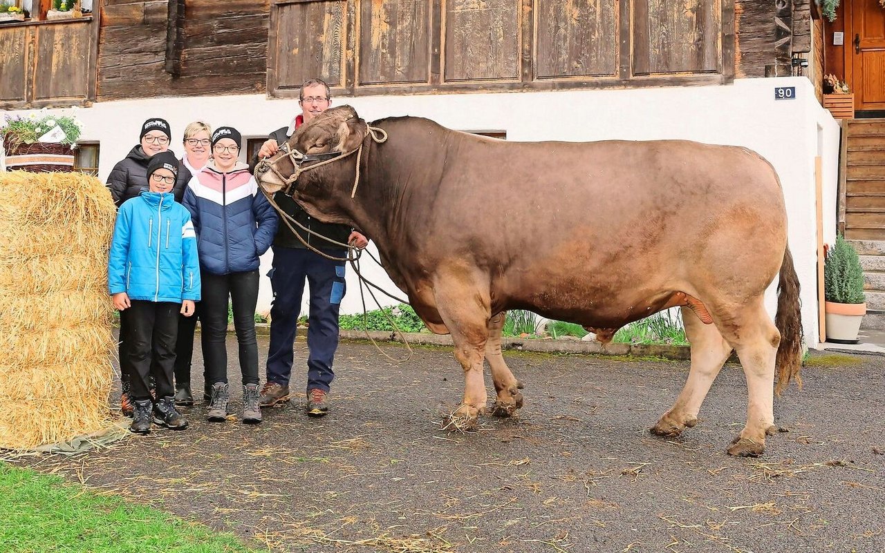 Die Muotathaler Doris und Martin Schelbert und ihre Kinder Petra, Silvia und Andrea mit dem imposanten OB-Stier Ursin.