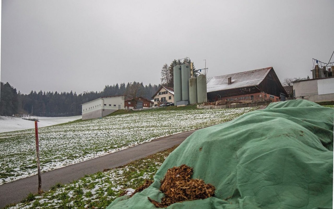 Oliver Liechti änderte nach der Erosion nicht nur die Bodenbearbeitung, sondern kompostiert den Mist. Der Boden wird dadurch aktiver und stabiler.