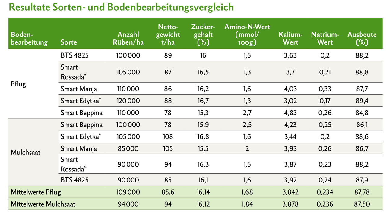 Die Ergebnisse der Stichproben wurden auf die Hektare hochgerechnet. Im Mittel über alle Sorten hinweg war der Ertrag mit 85,6 t/ha beim Pflug tiefer als bei der Mulchsaat mit 94 t/ha, trotz höherer Bestandesdichte (Anzahl Rüben/ha). Hingegen beim Zuckergehalt hatte die Sorte einen grösseren Einfluss, was sich schliesslich auch in der Ausbeute abzeichnet.  Richtwerte: Amino-N-Wert: 0,6 bis 1,3; Kalium: 3,0 bis 4,0; Natrium: 0,2 bis 0,3  * Smart Edytka (Sortenkanditat im 3. Prüfjahr, Kandidat Sortenliste Anbau 2026)  * Smart Rossada (Sortenkandidat im 2. Prüfjahr, Kandidat Sortenliste Anbau 2027)